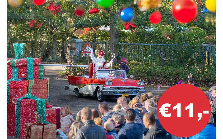 15 november Sinterklaas intocht