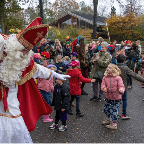 Sinterklaasfestijn