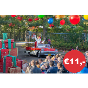 15 november Sinterklaas intocht